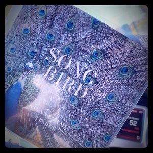 Song Bird - Artist Kieana "Ami" Tindle